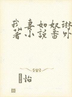 我妻如奴琳涛原著小说番外