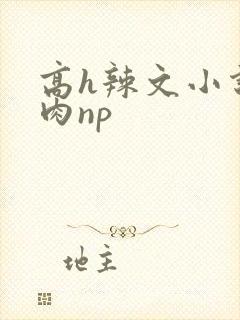 高h辣文小说纯肉np