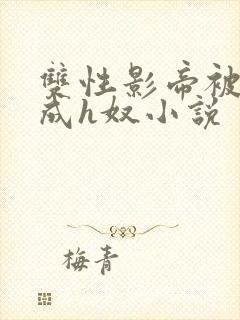 双性影帝被调教成h奴小说