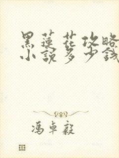 黑莲花攻略手册小说多少钱