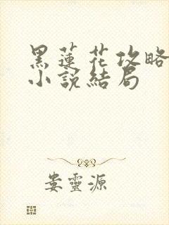 黑莲花攻略手册小说结局