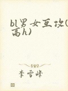 bl男女互攻(高h)