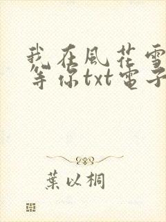 我在风花雪月里等你txt电子书下载
