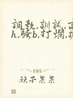 调教,训诫,高h,骚b,打烂,撅,小说