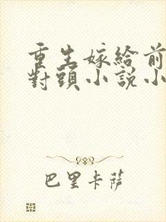 重生嫁给前夫死对头小说小说