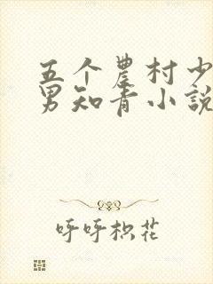 五个农村少女与男知青小说封面