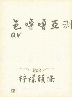 色噜噜亚洲综合av