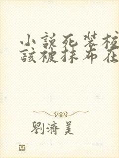 小说死装校草活该被抹布在线阅读