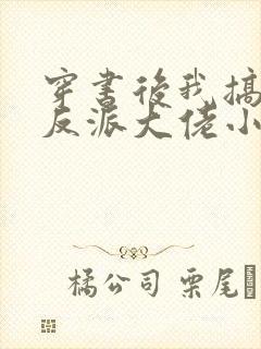 穿书后我搞到了反派大佬小说