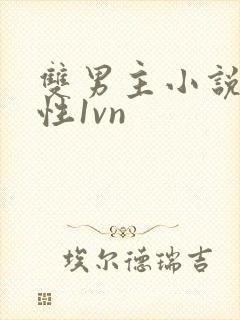 双男主小说,双性1vn