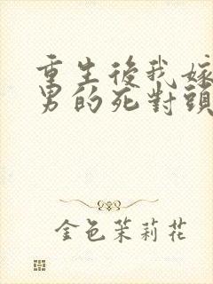 重生后我嫁给渣男的死对头网剧