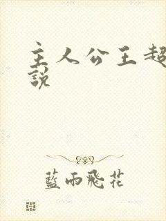 主人公王超的小说