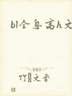 bl全息高h文封面