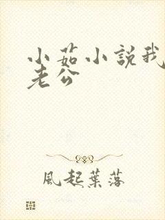 小茹小说我的狗老公