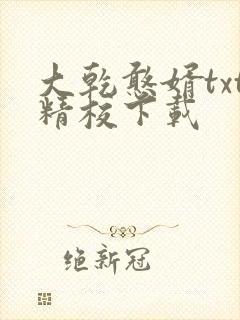 大乾憨婿txt精校下载