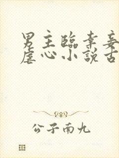 男主临幸妾室的虐心小说古言