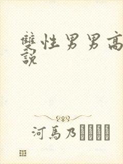 双性男男高h小说