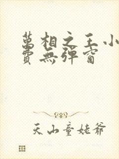 万相之王小说免费无弹窗