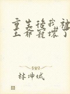 重生后我被偏执王爷宠坏了