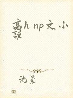 高h np文小说