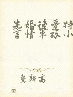 先婚后爱特种兵言情军旅小说