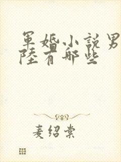 军婚小说男主姓陆有哪些