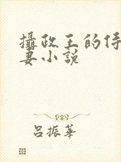 摄政王的侍爱逃妻小说