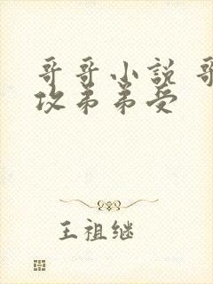 哥哥小说 哥哥攻弟弟受