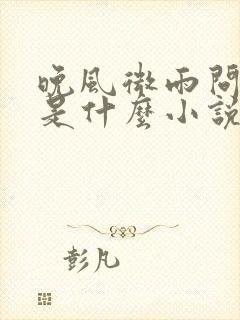 晚风微雨问海棠是什么小说