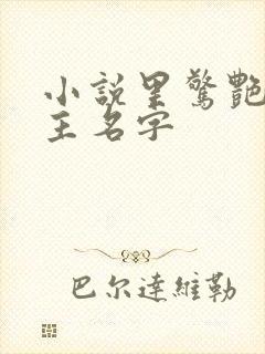 小说里惊艳的女主名字