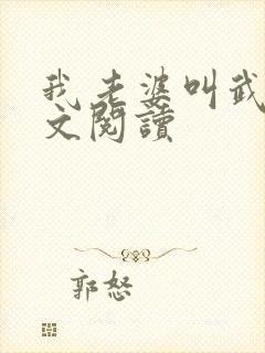 我老婆叫武艳全文阅读