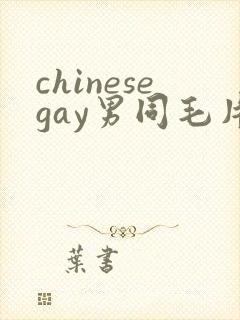 chinesegay男同毛片