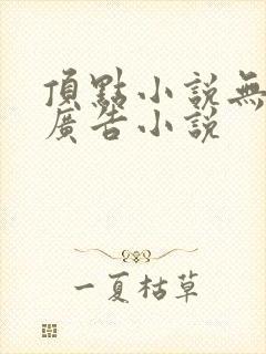 顶点小说无弹窗广告小说封面