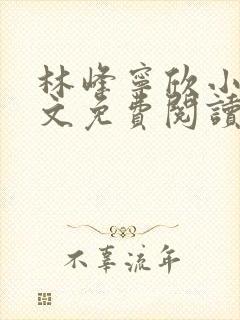 林峰宁欣小说全文免费阅读笔趣阁