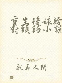 重生后嫁给了死对头的小说