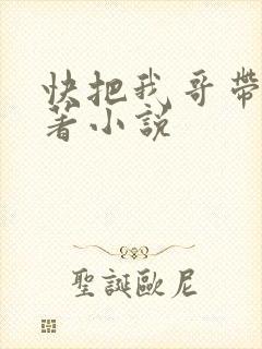 快把我哥带走原著小说