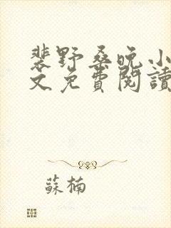 裴野桑晚小说全文免费阅读最新章节