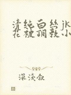 清纯白丝jk校花被调教小说