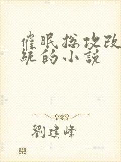 催眠总攻改造系统的小说封面