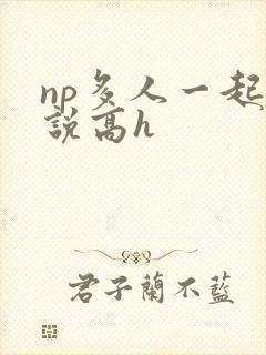 np多人一起小说高h封面