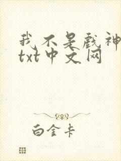 我不是戏神小说txt中文网