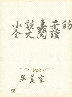 小说妻子的自述全文阅读封面