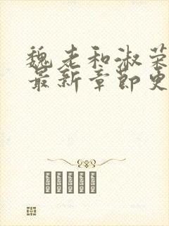 魏老和淑荣小说最新章节更新