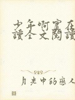 少年啊宾在线阅读全文阅读