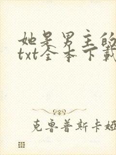 她是男主的初恋txt全本下载封面