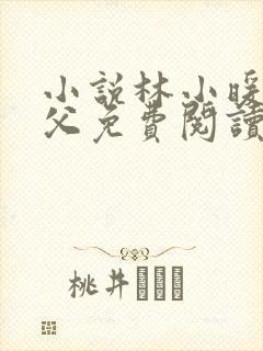 小说林小暖和继父免费阅读