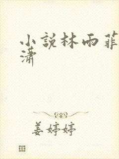 小说林雨菲顾北潇