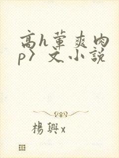 高h荤爽肉〈np〉文小说