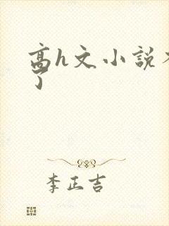 高h文小说不要了