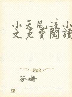 小天风流小说全文免费阅读无弹窗
